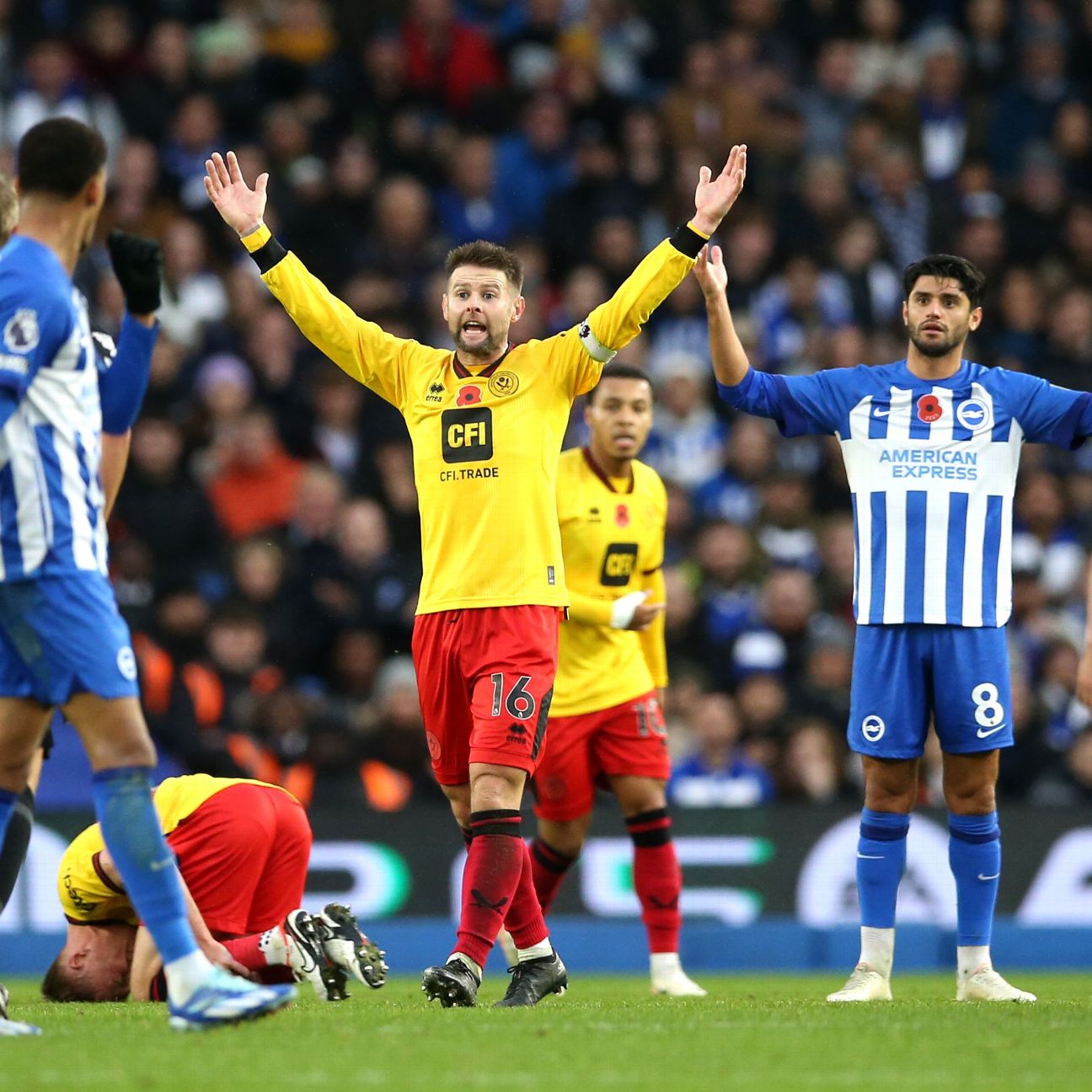 Brighton handed Sheffield United a draw following an own goal and a red card